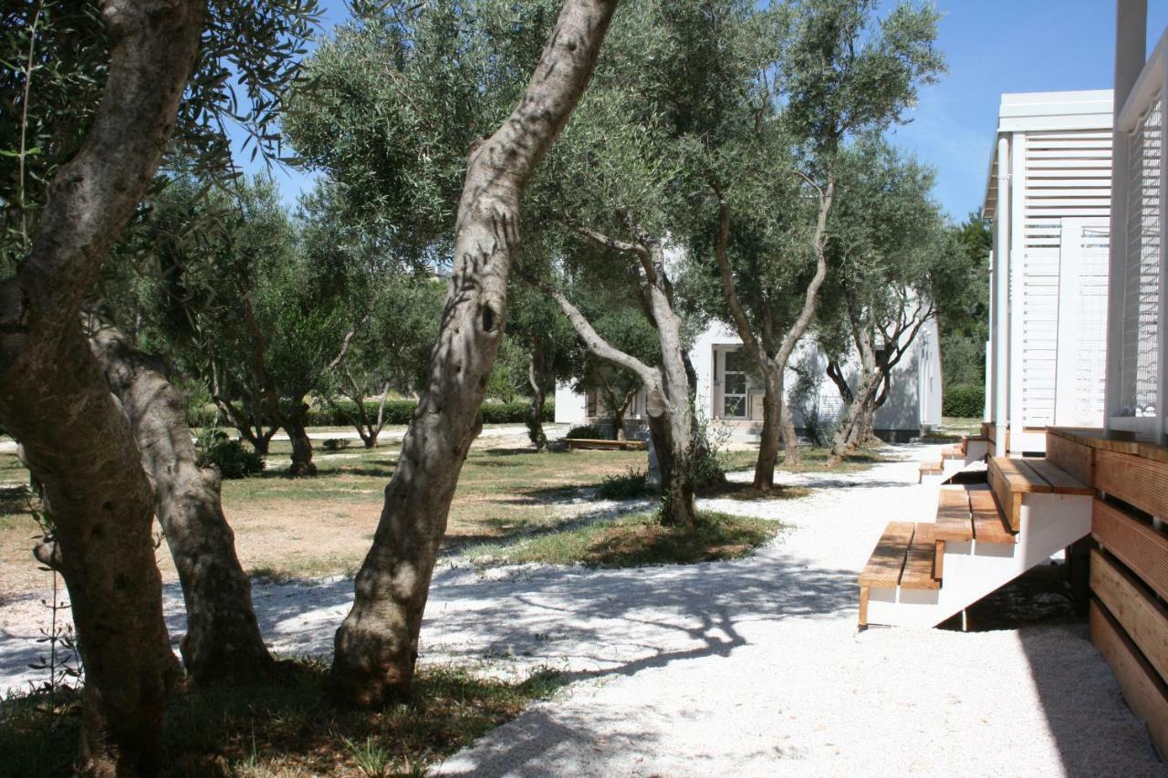 Mobile Homes Katinka, Starigrad Paklenica, Croatia Bagian luar foto