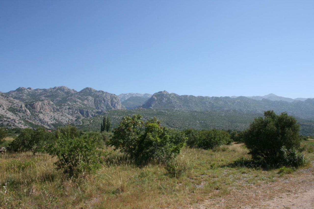 Mobile Homes Katinka, Starigrad Paklenica, Croatia Bagian luar foto
